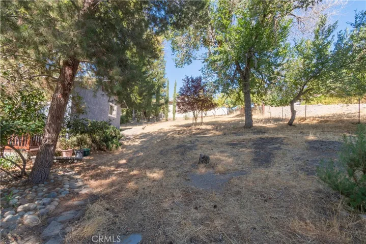 This is the east side of the property.