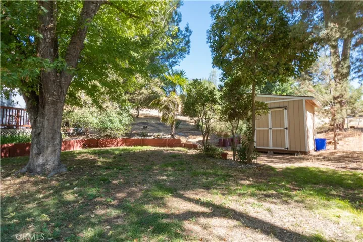 Another yard view.