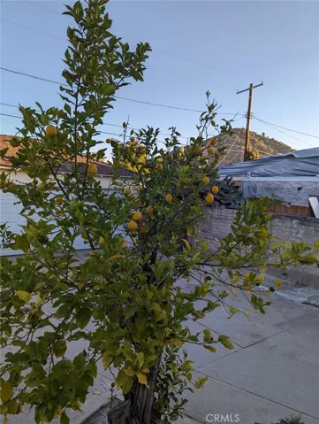 4036 Bemis Street, Los Angeles, California 90039
