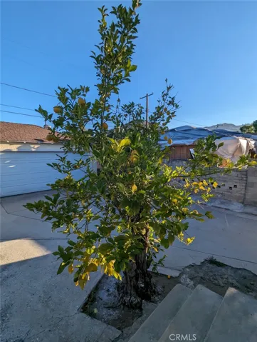 4036 Bemis Street, Los Angeles, California 90039