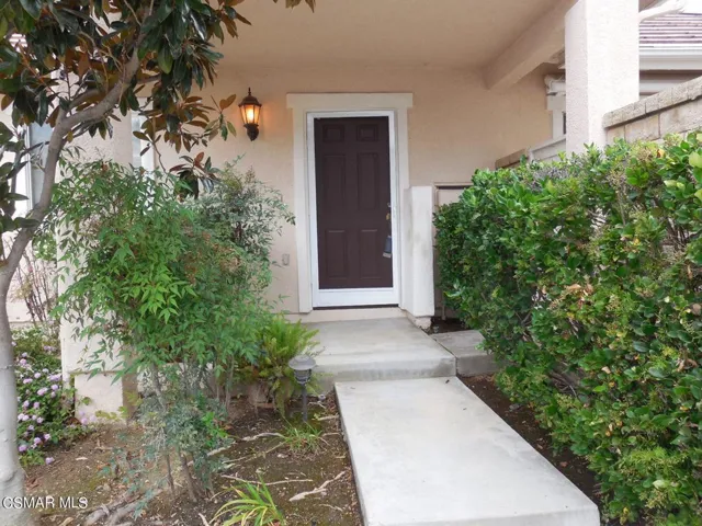 Pansy front door walkway