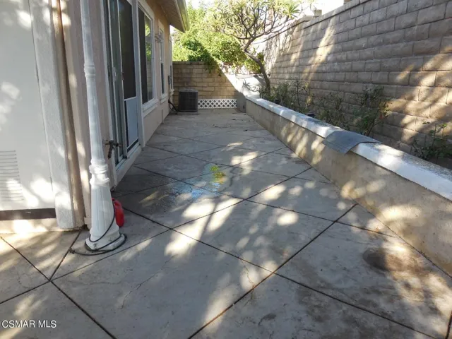 Pansy rear area