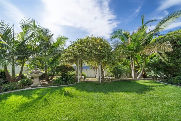 Peaceful back yard with water feature