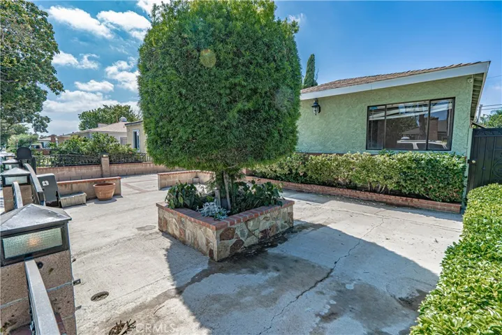 Front yard