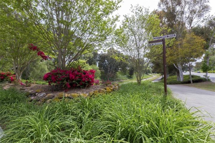 Beautiful area nearby