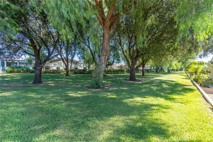 view from backyard