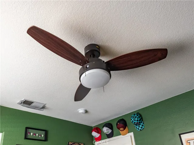  New fans