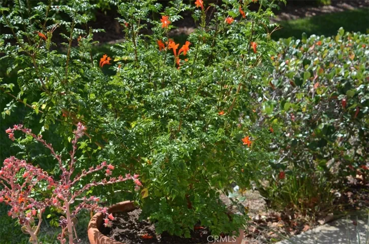 Gardeners do a great job in Laguna Woods.