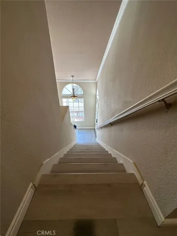 7 Almador, Irvine, California 92614
