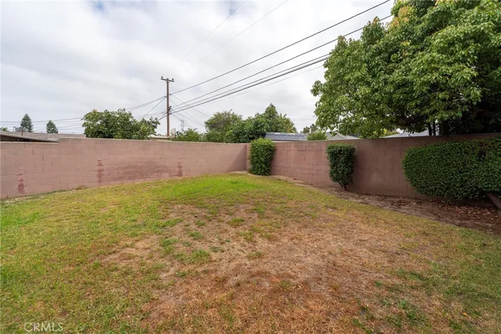 Large back yard