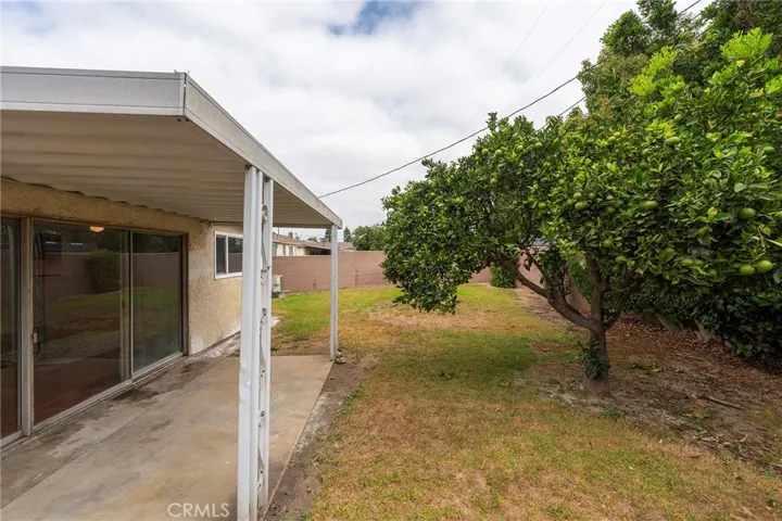 Large back yard