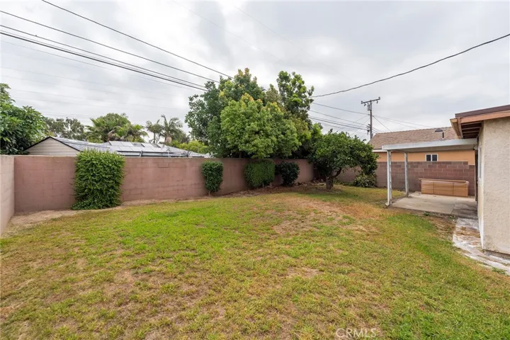 Large back yard