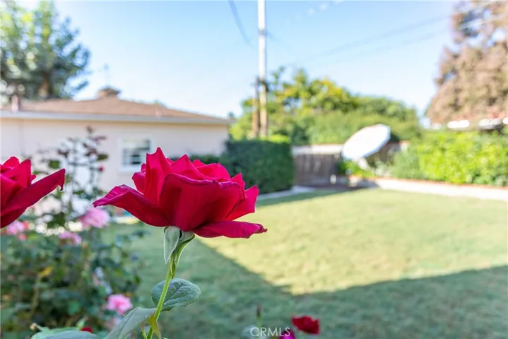 1037 N Parish Place, Burbank, California 91506