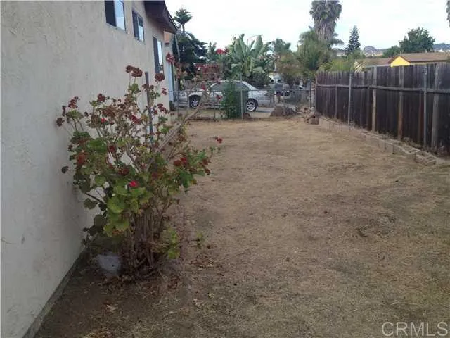 back yard
