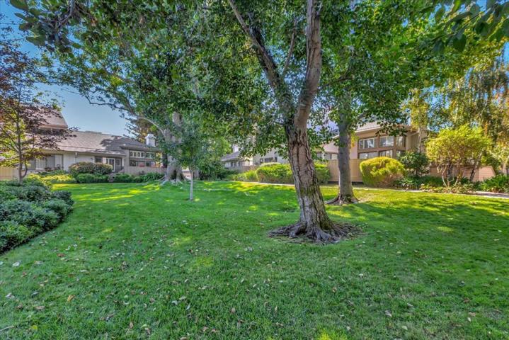 498 Ives Terrace, Sunnyvale, California 94087