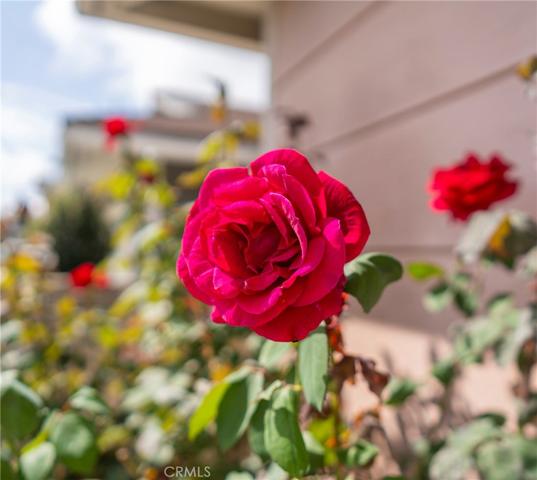 19771 Lexington Lane, Huntington Beach, California 92646
