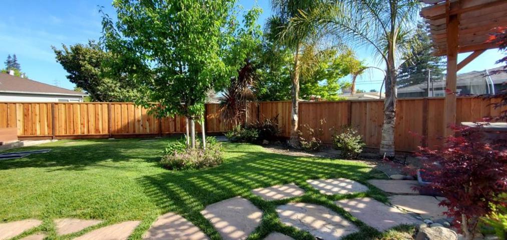 #116 Backyard