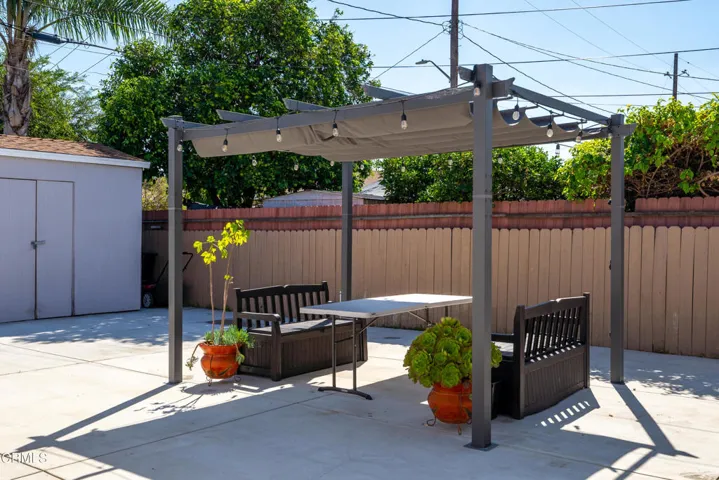 Back_yard_2