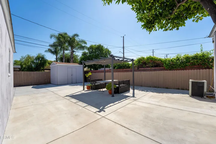 Back_yard_1