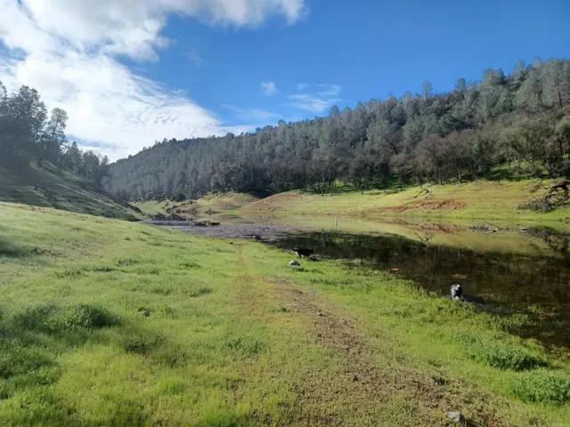9883 Piney Creek Road, Coulterville, California 95311