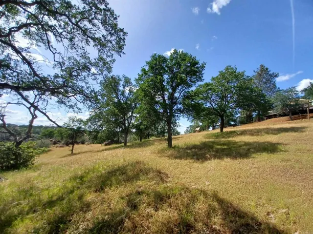 9883 Piney Creek Road, Coulterville, California 95311