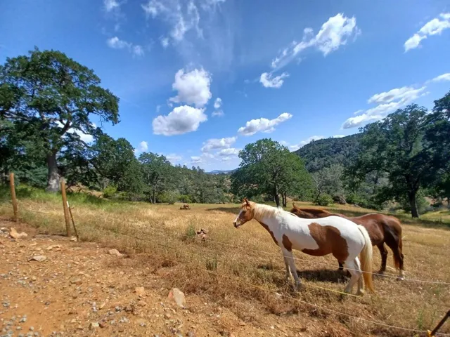9883 Piney Creek Road, Coulterville, California 95311