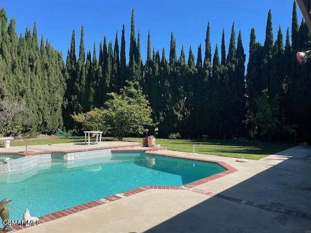 Gorgeious pool with trees