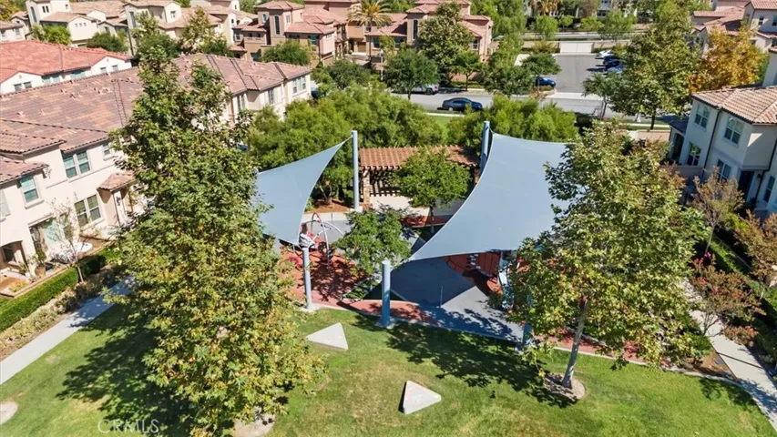 Local Park