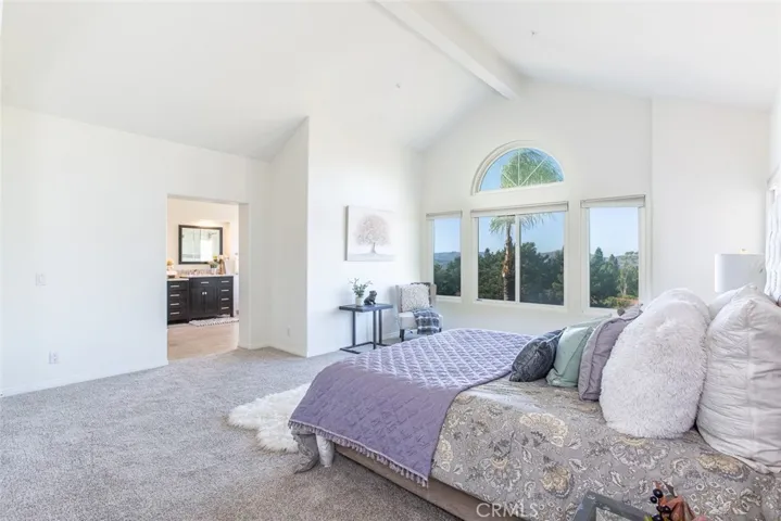 1219 Via Visalia, San Clemente, California 92672
