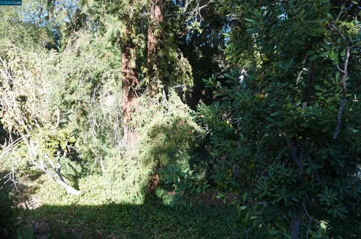 1995 Mohawk Drive, Pleasant Hill, California 94523-3125