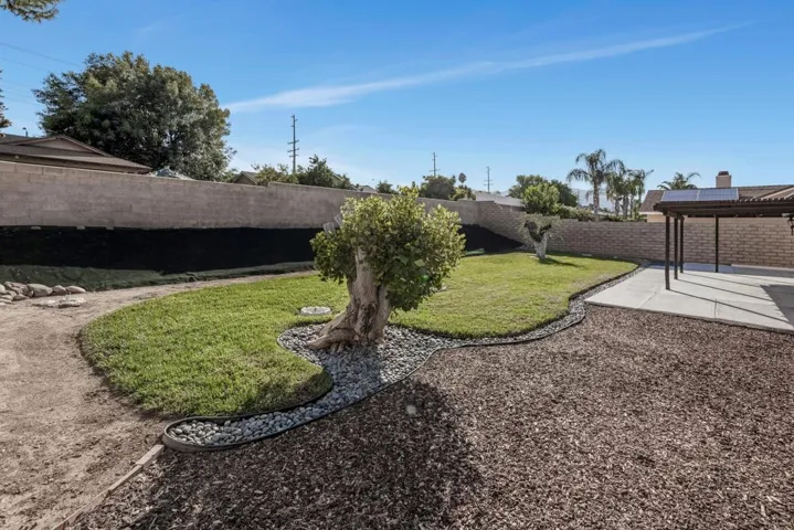Back yard
