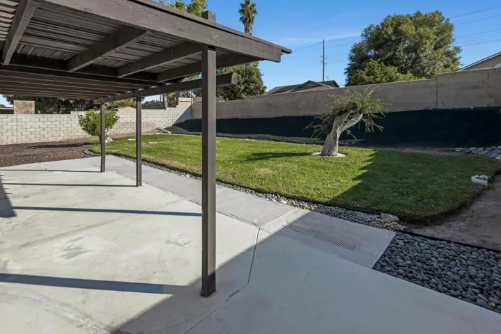 Back yard