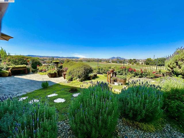 505 Lakeview Dr, Brentwood, California 94513