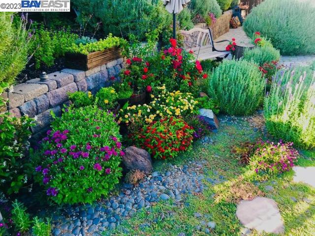505 Lakeview Dr, Brentwood, California 94513