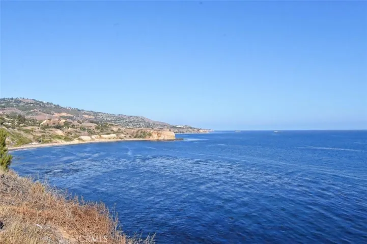 Ocean/Bluff View