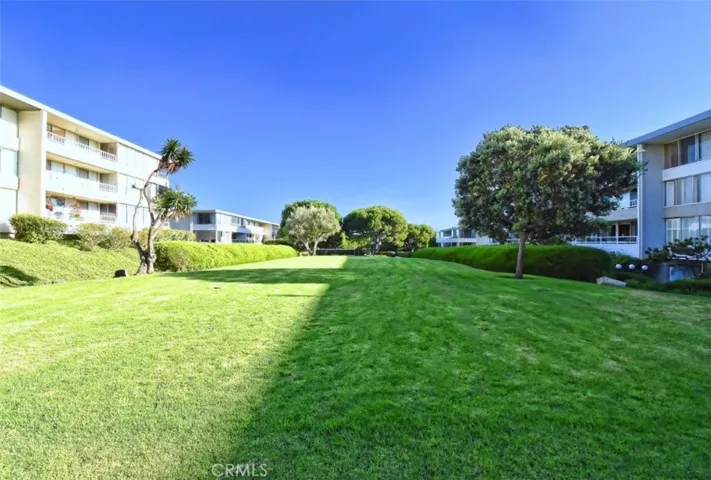 Community Grassy Area