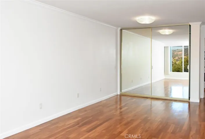 2nd Mirror Closet in Master Bedroom