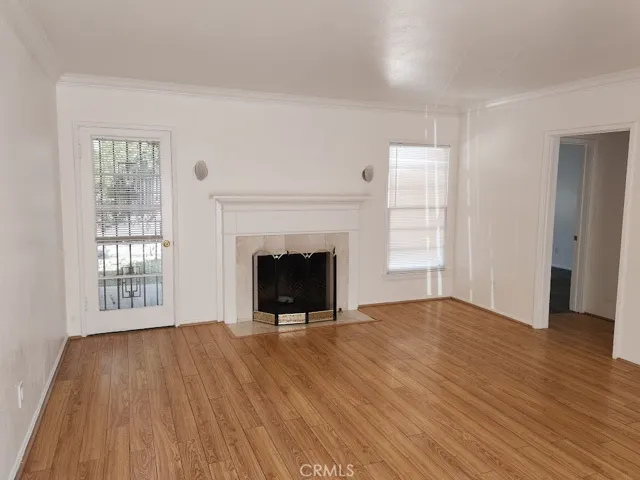 Living room fireplace