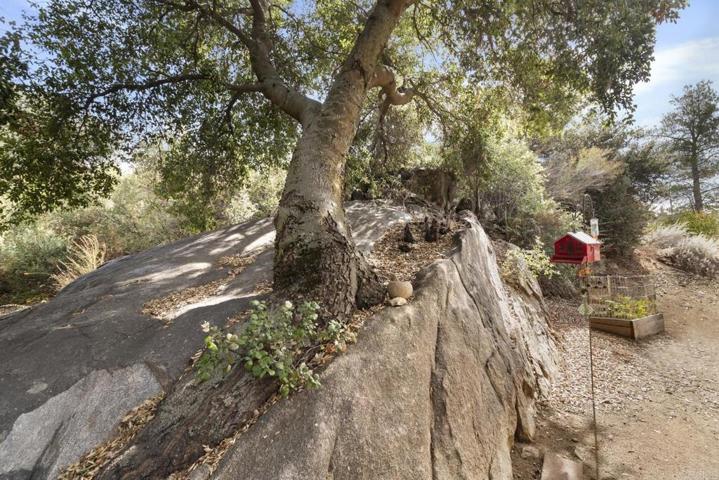 7737 Rueda Alcalde, Pine Valley, California 91962