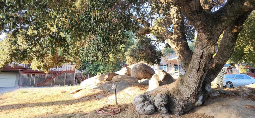 7737 Rueda Alcalde, Pine Valley, California 91962