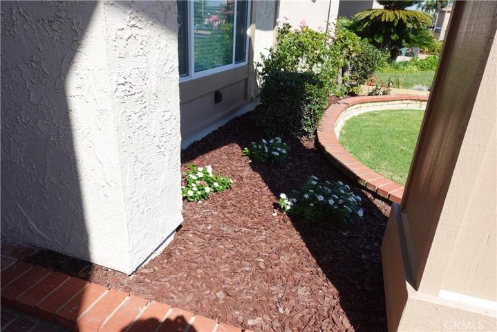 Front Flower and Plant Area