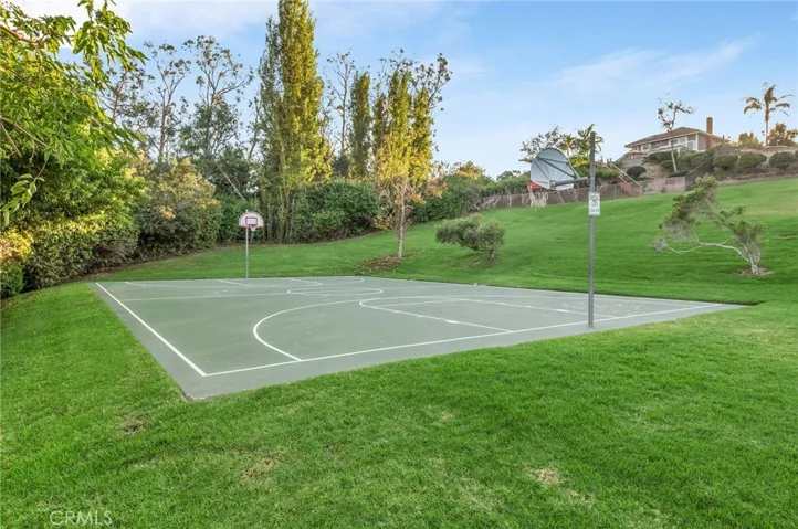 community basketball court