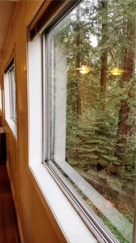 In forest views.