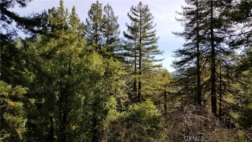 21455 Delta Way Unit 2, Monte Rio, California 95462