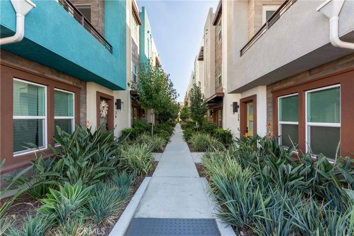 walkways to the community park and dog park