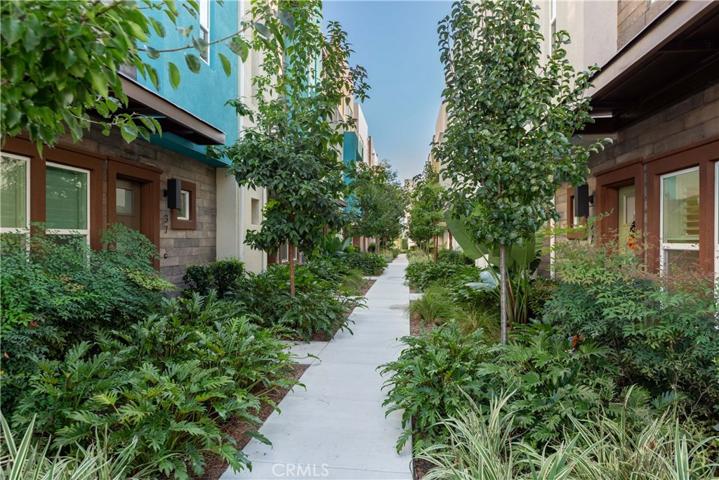 Walk Way Luscious Trees