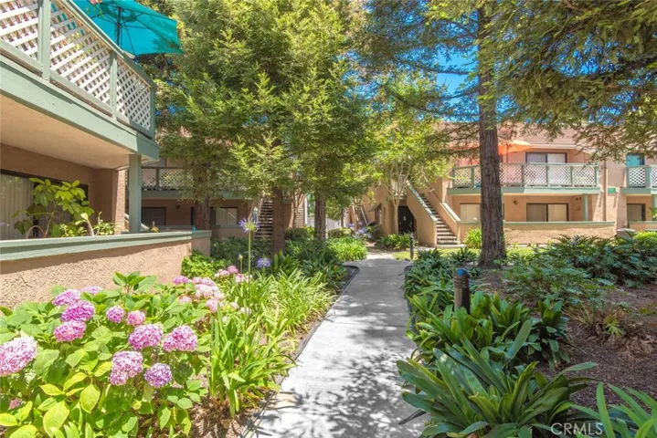 Spring photo of the blooms in the community