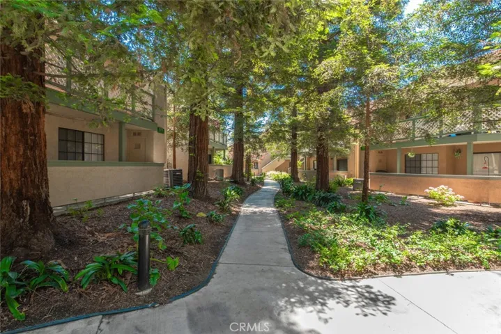 Beautiful tree lined walk just out your front door