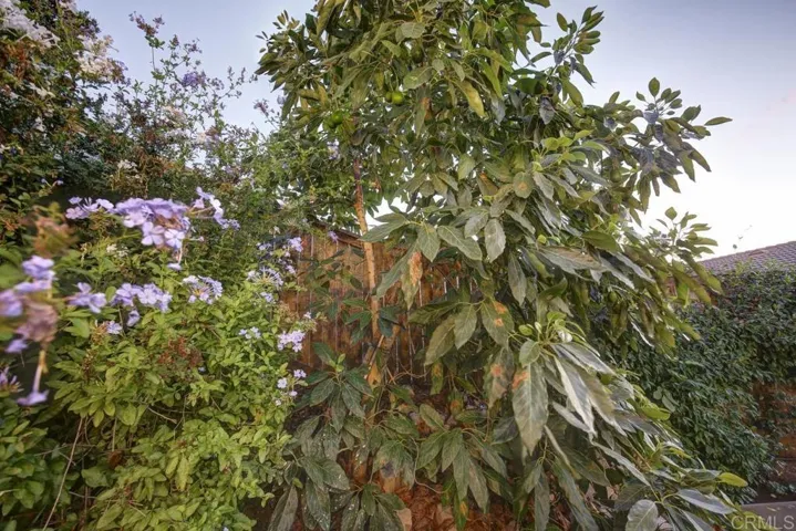 2114 Fiori Drive, Vista, California 92084