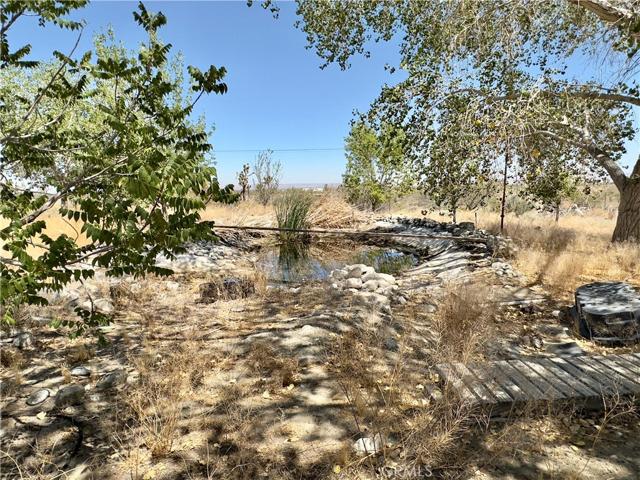 12285 Golden View Road, Pinon Hills, California 92372